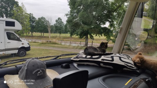 IMG_20210731_145606.jpg IMG_20210731_145606.jpg