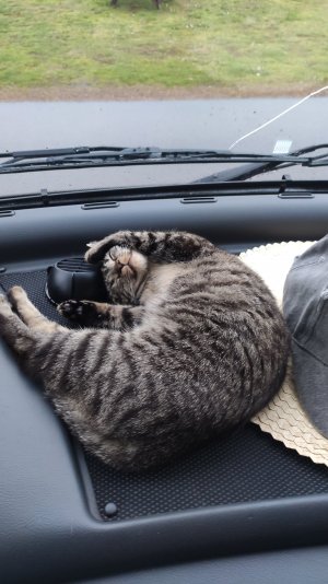 IMG_20210825_200211.jpg IMG_20210825_200211.jpg