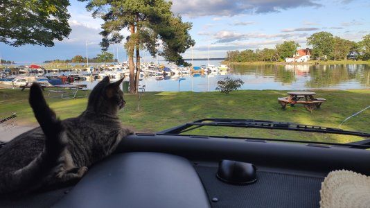 IMG_20210825_180303.jpg IMG_20210825_180303.jpg