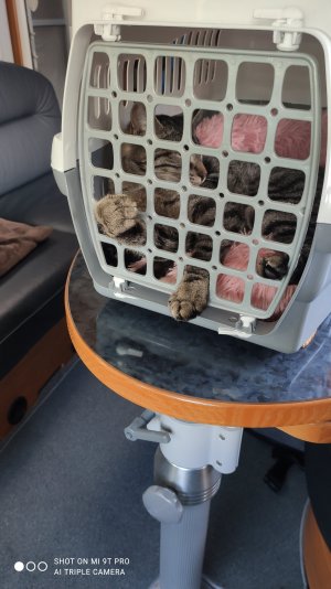 IMG_20210624_125855.jpg IMG_20210624_125855.jpg