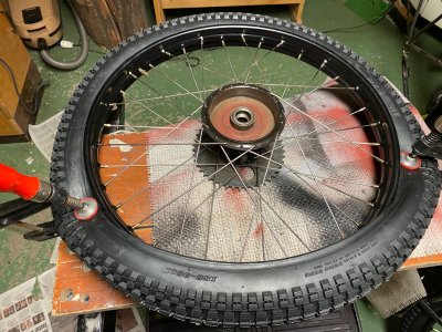 IMG_3435.jpg IMG_3435.jpg