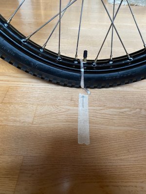 IMG_3509.jpg IMG_3509.jpg