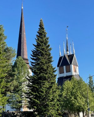 1 (1).jpeg 1 (1).jpeg