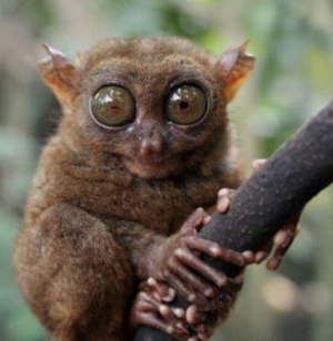 1633541655368.png 1633541655368.png