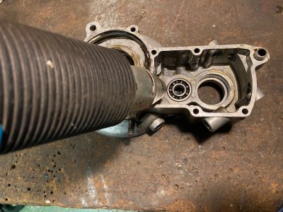 IMG_3550.jpg IMG_3550.jpg