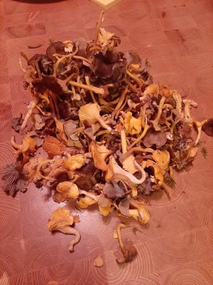 20211013_185626.jpg 20211013_185626.jpg