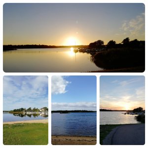 inCollage_20210929_154215942.jpg inCollage_20210929_154215942.jpg