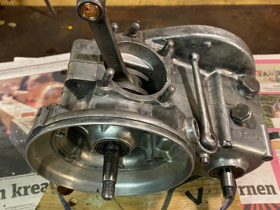 IMG_3559.jpg IMG_3559.jpg