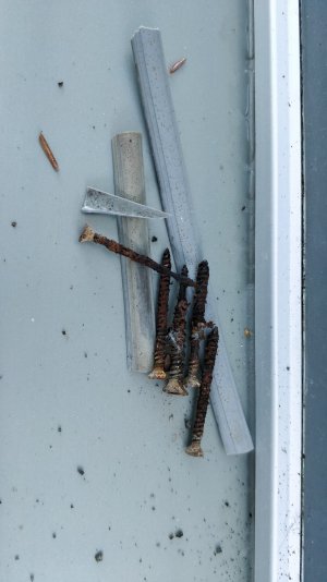 IMG_20210925_090529.jpg IMG_20210925_090529.jpg