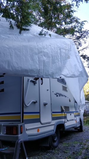 IMG_20210925_090506.jpg IMG_20210925_090506.jpg