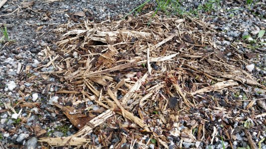 IMG_20211010_093538.jpg IMG_20211010_093538.jpg