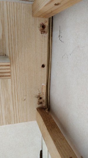 IMG_20211010_112710.jpg IMG_20211010_112710.jpg