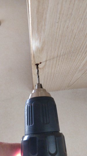 IMG_20211010_124957.jpg IMG_20211010_124957.jpg