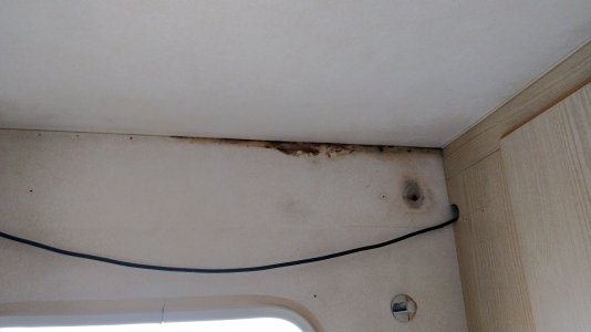 IMG_20211010_132451.jpg IMG_20211010_132451.jpg