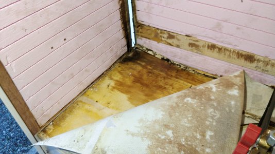 IMG_20211017_171534.jpg IMG_20211017_171534.jpg