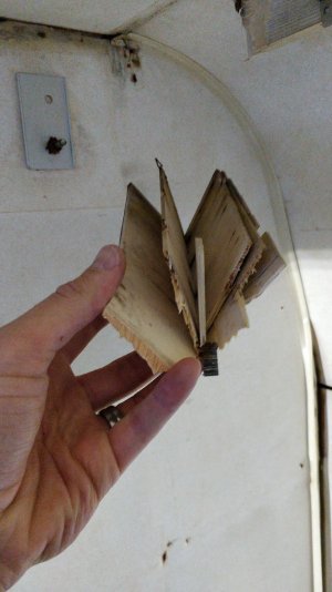 IMG_20211017_095719.jpg IMG_20211017_095719.jpg