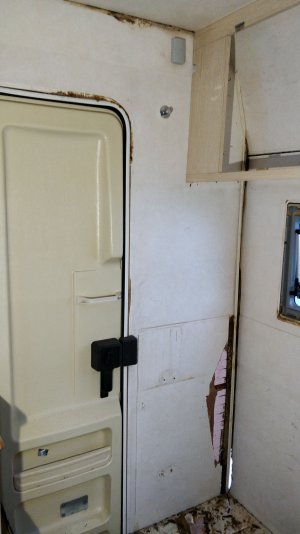 IMG_20211017_094356.jpg IMG_20211017_094356.jpg