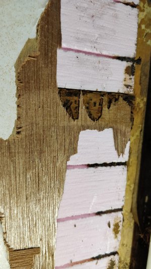 IMG_20211017_093528.jpg IMG_20211017_093528.jpg