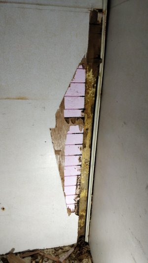 IMG_20211017_093520.jpg IMG_20211017_093520.jpg