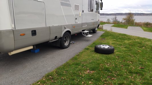 IMG_20211024_152435.jpg IMG_20211024_152435.jpg