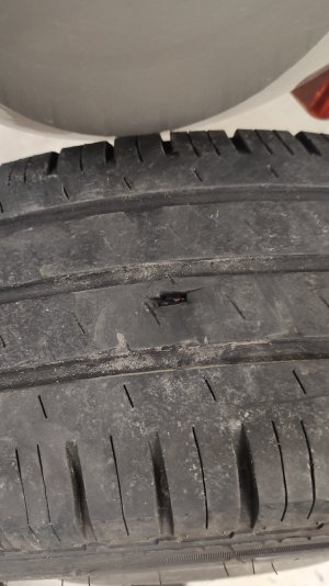 IMG_20211025_143120.jpg IMG_20211025_143120.jpg