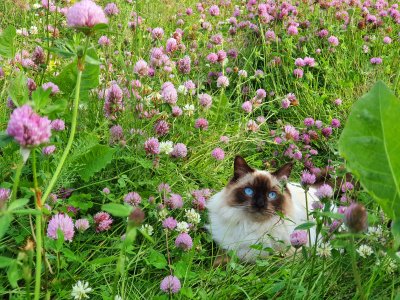 20210713_183650.jpg 20210713_183650.jpg