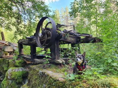 20210711_163710_1.jpg 20210711_163710_1.jpg