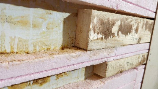 IMG_20211029_201326.jpg IMG_20211029_201326.jpg