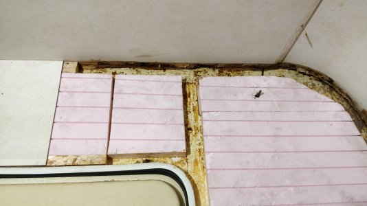 IMG_20211029_213635.jpg IMG_20211029_213635.jpg