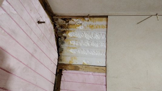 IMG_20211029_220247.jpg IMG_20211029_220247.jpg