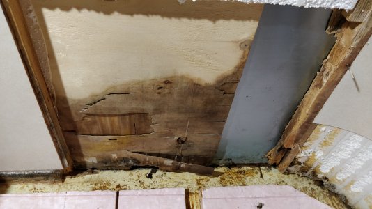 IMG_20211030_112923.jpg IMG_20211030_112923.jpg