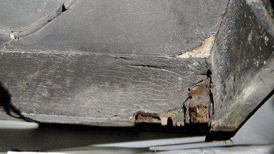 IMG_20211030_201727.jpg IMG_20211030_201727.jpg