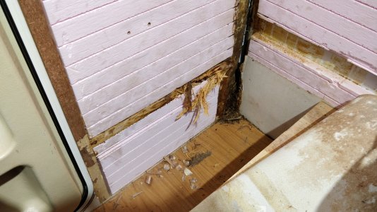 IMG_20211030_195747.jpg IMG_20211030_195747.jpg