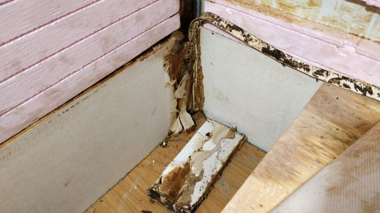 IMG_20211030_193131.jpg IMG_20211030_193131.jpg