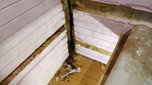 IMG_20211030_201112.jpg IMG_20211030_201112.jpg