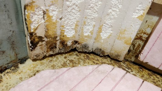 IMG_20211030_212643.jpg IMG_20211030_212643.jpg