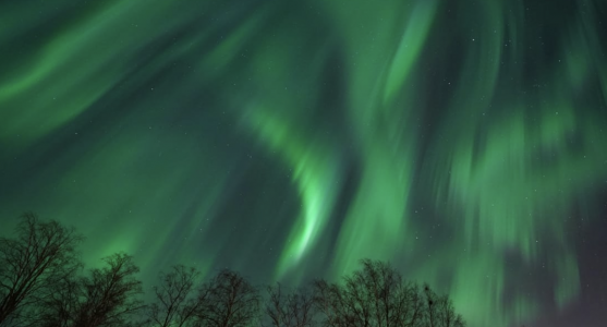 Skärmavbild 2021-10-31 kl. 21.06.24.png Skärmavbild 2021-10-31 kl. 21.06.24.png