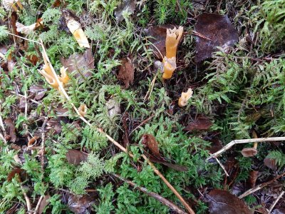 20211110_111918.jpg