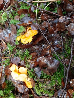 20211110_111522.jpg