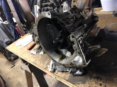 B5115458-6F78-4A1C-B6EB-B0D88986495F.jpeg B5115458-6F78-4A1C-B6EB-B0D88986495F.jpeg