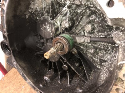 E221D30F-D1B7-47CC-90FE-689A312DAC1C.jpeg E221D30F-D1B7-47CC-90FE-689A312DAC1C.jpeg