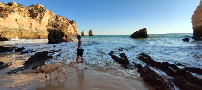 Så är Ringsholm åter på väg till Portugal