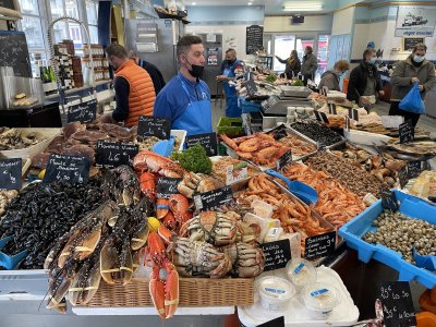 AA617C67-86B1-4002-8156-D28397BB21EF.jpeg AA617C67-86B1-4002-8156-D28397BB21EF.jpeg