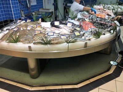 fiskdisk.jpg fiskdisk.jpg