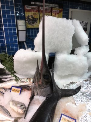 svärdfisk.jpg svärdfisk.jpg