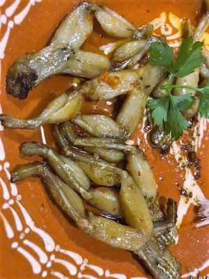 grodlår.jpg grodlår.jpg