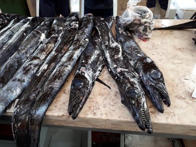 20180110_101829.jpg 20180110_101829.jpg