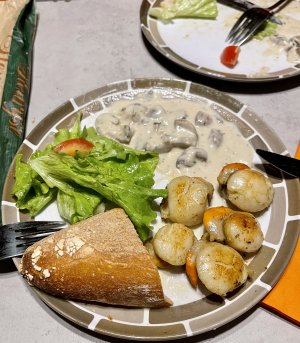 1637085409682.jpeg 1637085409682.jpeg