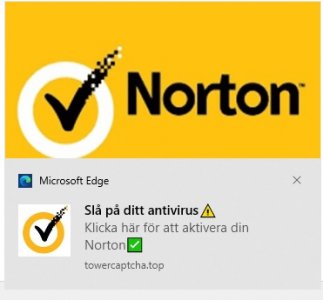Norton.jpg