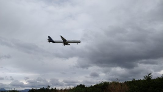 IMG_20211115_105155.jpg IMG_20211115_105155.jpg